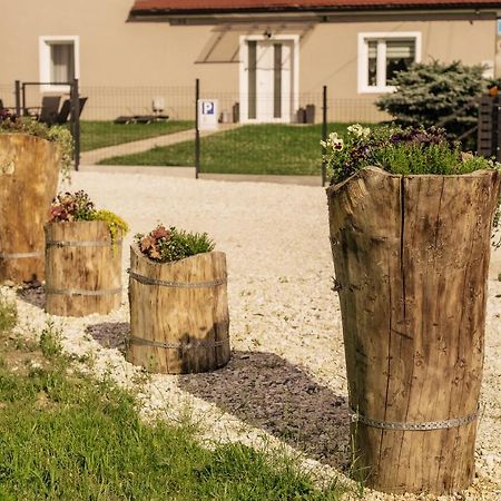 Apartament Pod Lasem Διαμέρισμα Oldrzychowice Klodzkie Εξωτερικό φωτογραφία